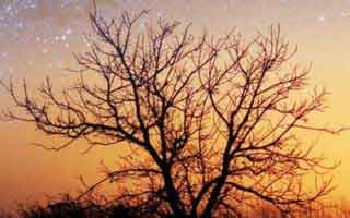 b站英文添加字幕在哪？ b站英文添加字幕在哪里？