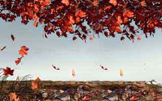 甘肃跨境电商入门学习，正规跨境电商培训学校排名