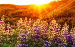 跨境电商pod设计？ 跨境电商 设计？