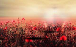 跨境电商策划营销方案，跨境电商策划营销方案模板