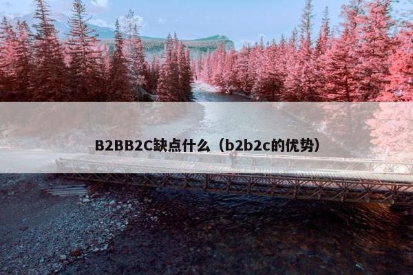 B2BB2C缺点什么（b2b2c的优势）