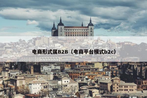 电商形式属B2B（电商平台模式b2c）
