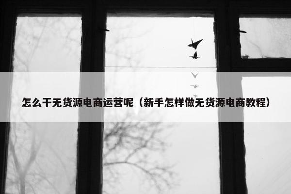 怎么干无货源电商运营呢（新手怎样做无货源电商教程）