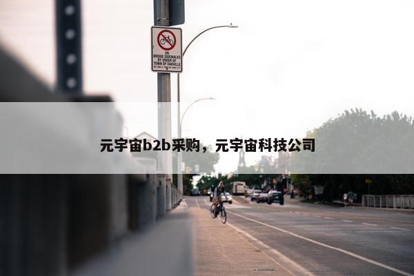 元宇宙b2b采购，元宇宙科技公司