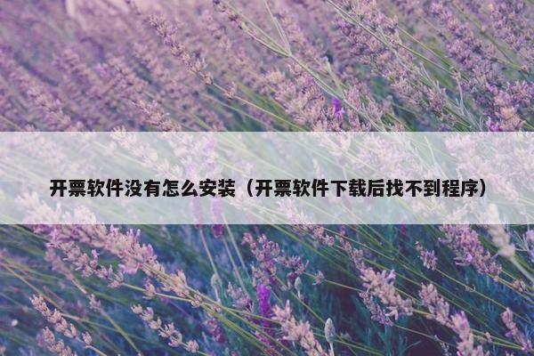开票软件没有怎么安装（开票软件下载后找不到程序）