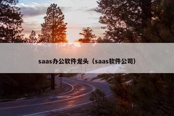 saas办公软件龙头（saas软件公司）