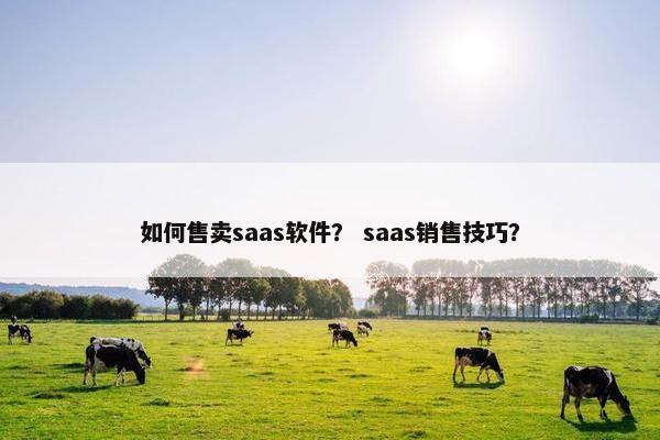 如何售卖saas软件？ saas销售技巧？