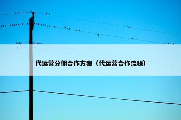 代运营分佣合作方案（代运营合作流程）