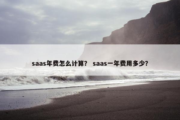 saas年费怎么计算？ saas一年费用多少？