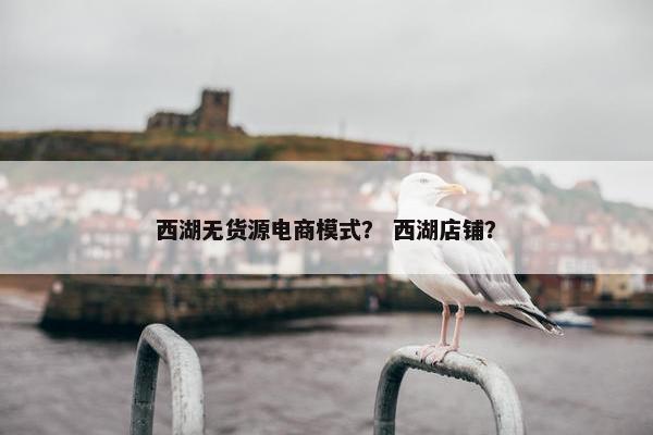 西湖无货源电商模式？ 西湖店铺？