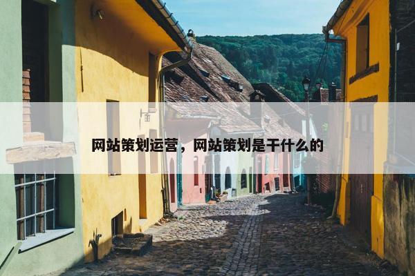 网站策划运营，网站策划是干什么的