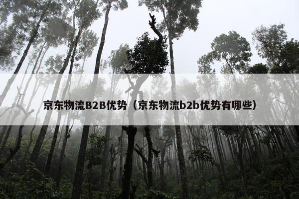 京东物流B2B优势（京东物流b2b优势有哪些）