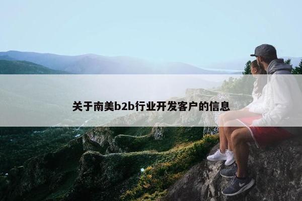 关于南美b2b行业开发客户的信息