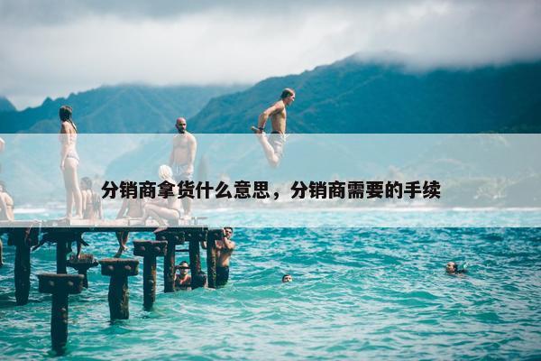 分销商拿货什么意思，分销商需要的手续