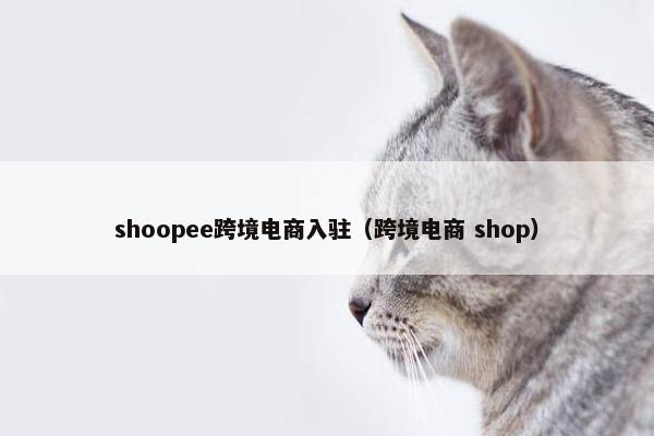 shoopee跨境电商入驻（跨境电商 shop）