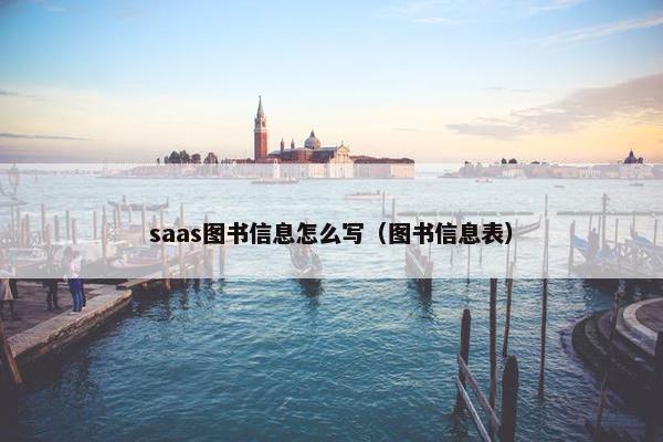 saas图书信息怎么写（图书信息表）