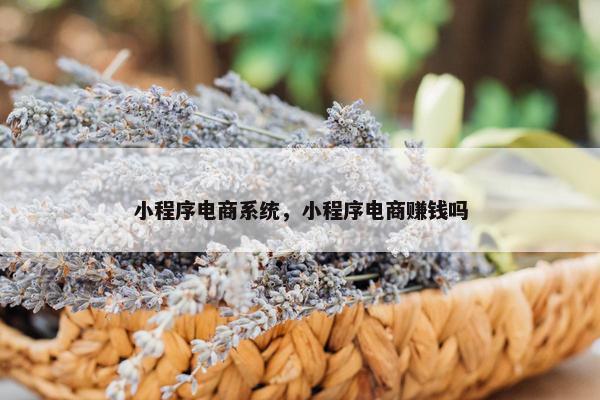 小程序电商系统，小程序电商赚钱吗