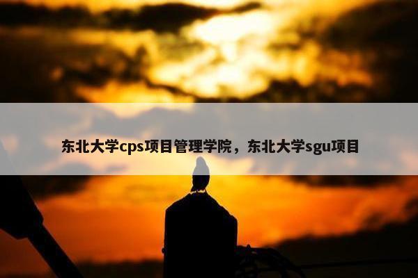 东北大学cps项目管理学院，东北大学sgu项目
