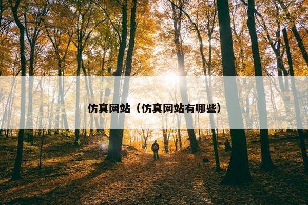 仿真网站（仿真网站有哪些）