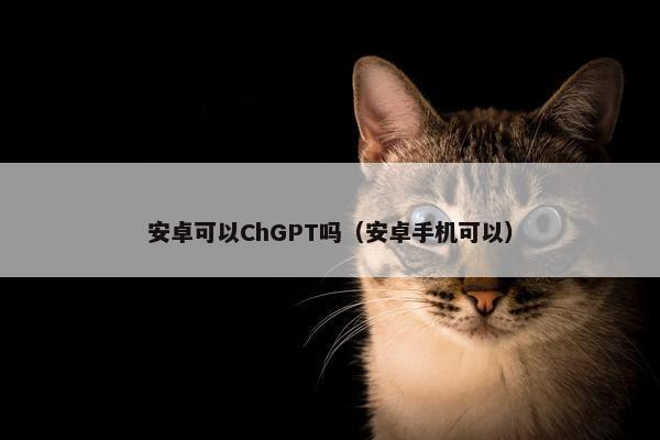 安卓可以ChGPT吗（安卓手机可以）