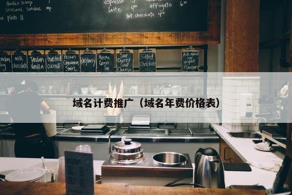 域名计费推广（域名年费价格表）