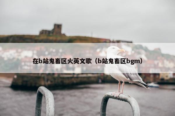 在b站鬼畜区火英文歌（b站鬼畜区bgm）