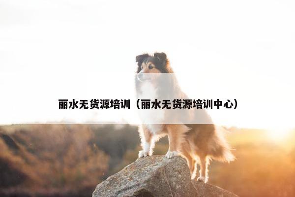 丽水无货源培训（丽水无货源培训中心）