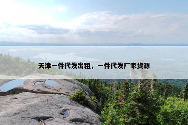 天津一件代发出租，一件代发厂家货源