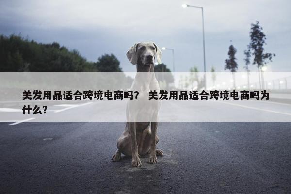 美发用品适合跨境电商吗？ 美发用品适合跨境电商吗为什么？