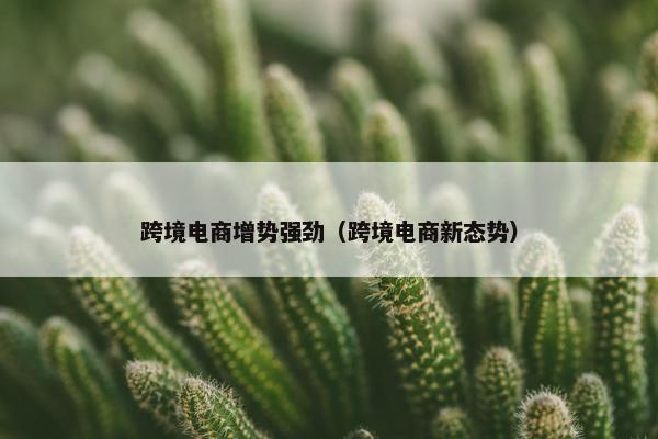 跨境电商增势强劲（跨境电商新态势）