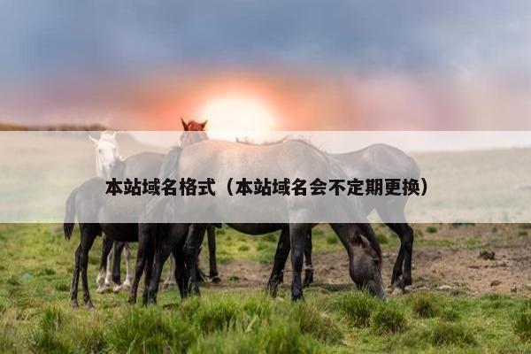 本站域名格式（本站域名会不定期更换）