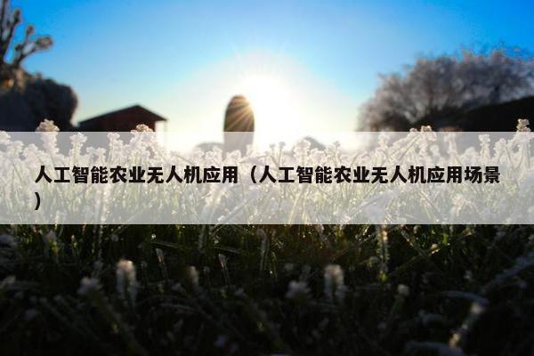 人工智能农业无人机应用（人工智能农业无人机应用场景）