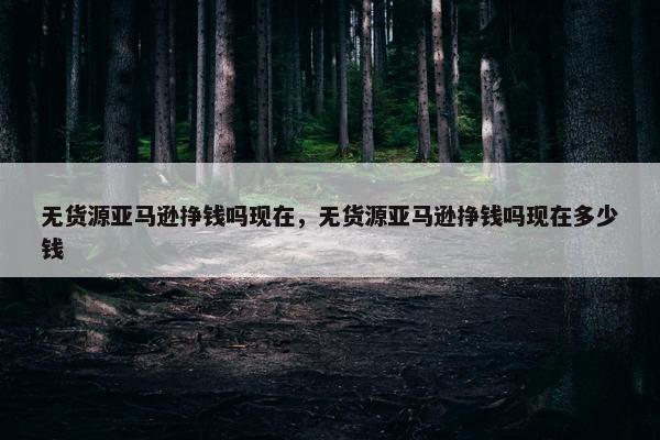 无货源亚马逊挣钱吗现在，无货源亚马逊挣钱吗现在多少钱