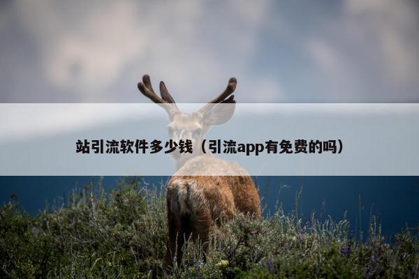站引流软件多少钱（引流app有免费的吗）