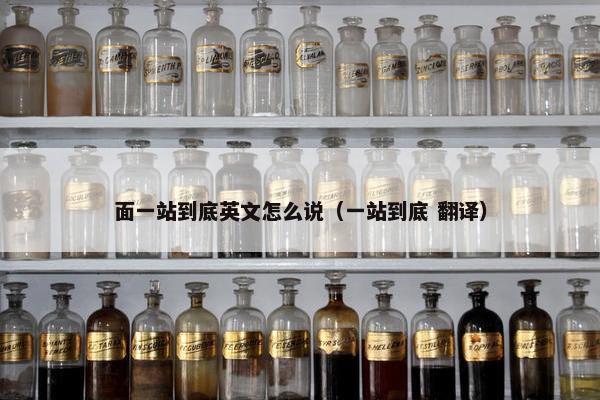 面一站到底英文怎么说（一站到底 翻译）