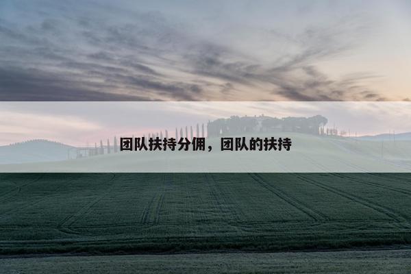 团队扶持分佣，团队的扶持