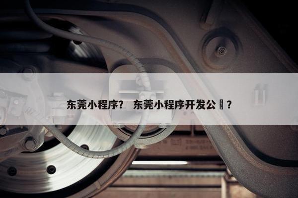 东莞小程序？ 东莞小程序开发公叿？