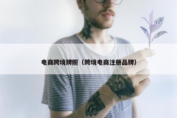 电商跨境牌照（跨境电商注册品牌）