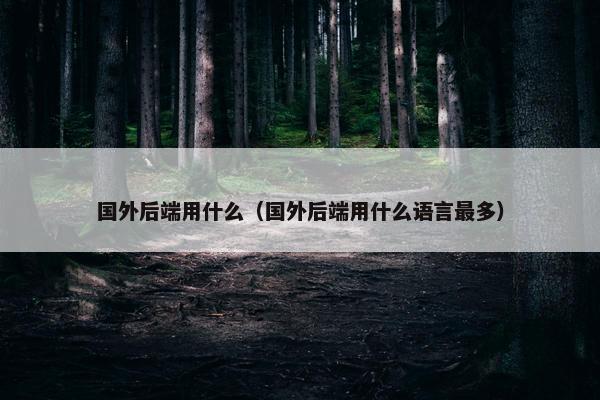 国外后端用什么（国外后端用什么语言最多）