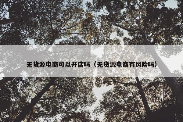 无货源电商可以开店吗（无货源电商有风险吗）
