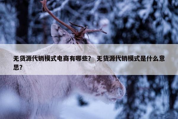 无货源代销模式电商有哪些？ 无货源代销模式是什么意思？