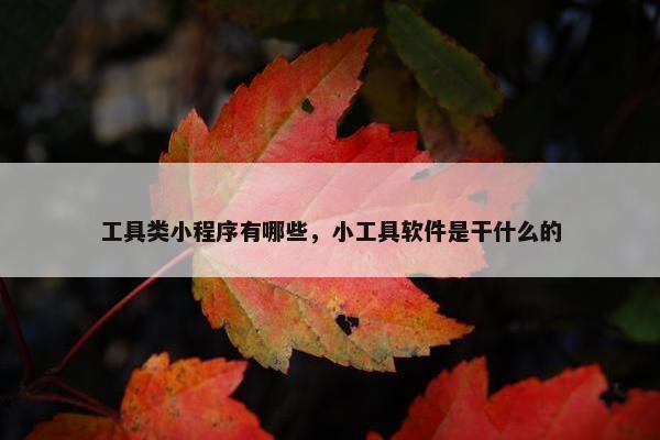 工具类小程序有哪些，小工具软件是干什么的