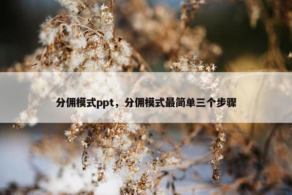 分佣模式ppt，分佣模式最简单三个步骤