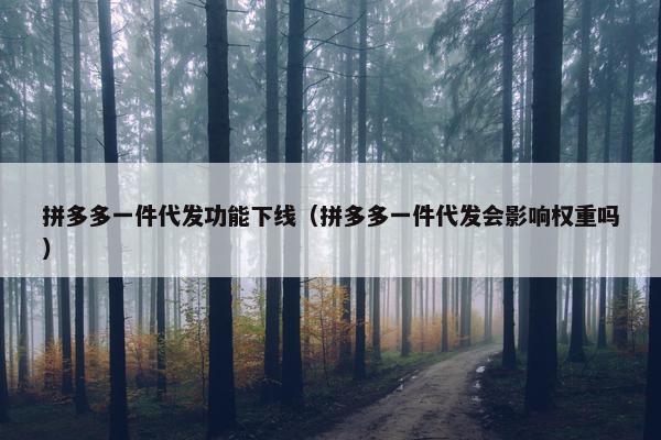 拼多多一件代发功能下线（拼多多一件代发会影响权重吗）