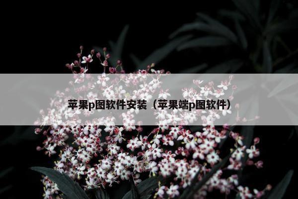 苹果p图软件安装（苹果端p图软件）