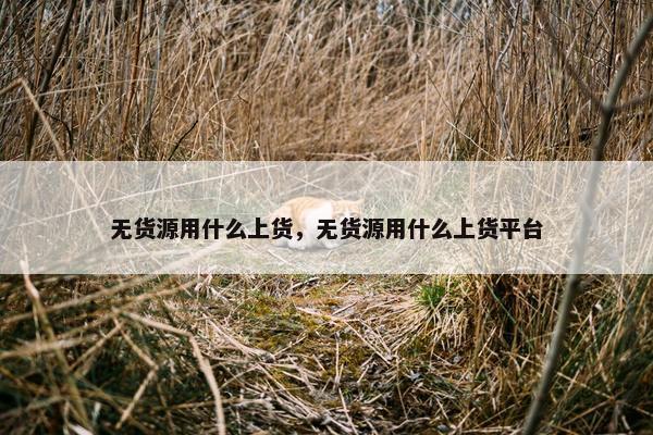 无货源用什么上货，无货源用什么上货平台