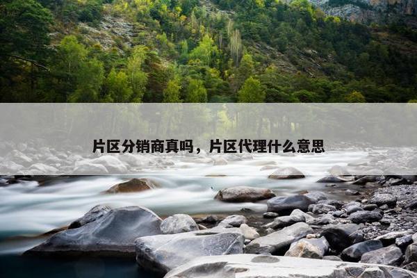 片区分销商真吗，片区代理什么意思