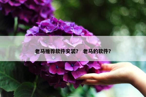 老马推荐软件安装？ 老马的软件？