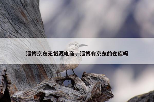 淄博京东无货源电商，淄博有京东的仓库吗