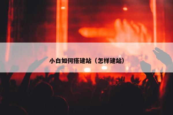 小白如何搭建站（怎样建站）